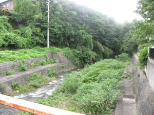 東川と石の橋