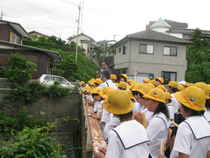 東川と石の橋